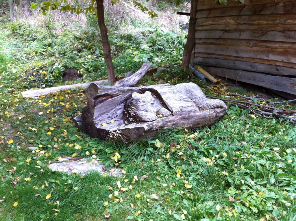 Chata Devena Valča Rum bild